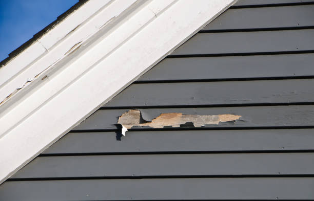 Best Appliance Removal  in Big Sky, MT